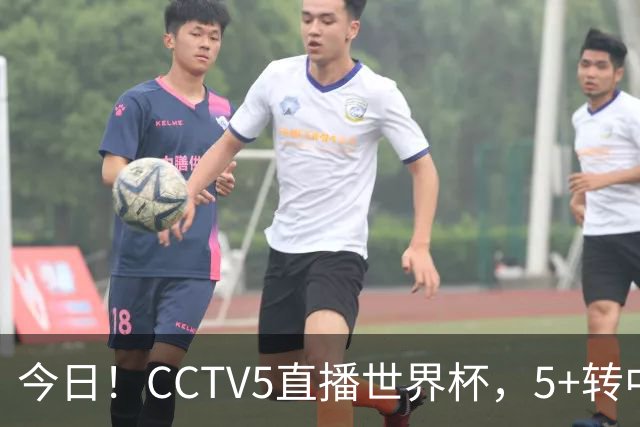 今日！CCTV5直播世界杯，5+转中国男篮VS日本+国乒孙颖莎和王楚钦出战+温网，网络转中超+F1