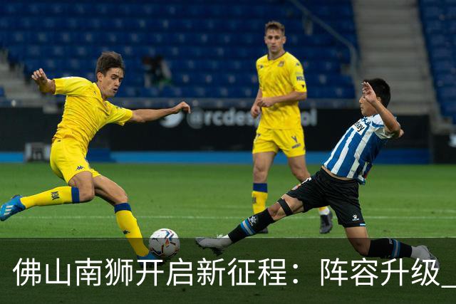 佛山南狮开启新征程：阵容升级 目标中甲前八