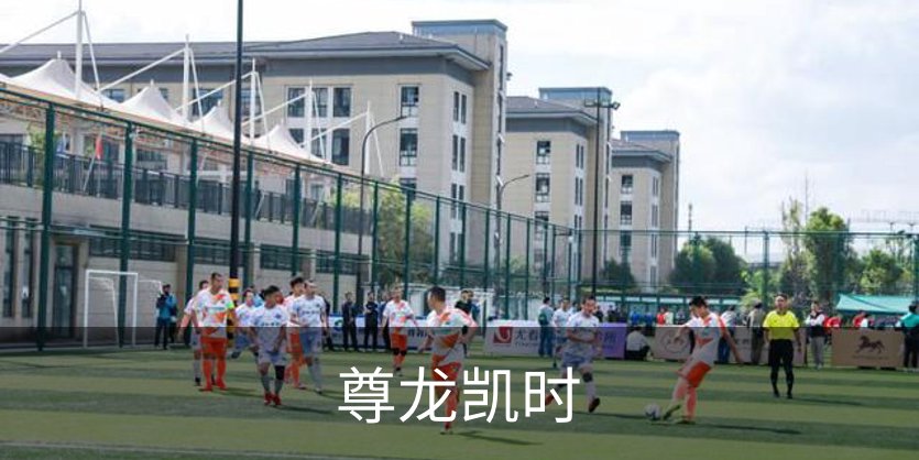 尊龙凯时概况